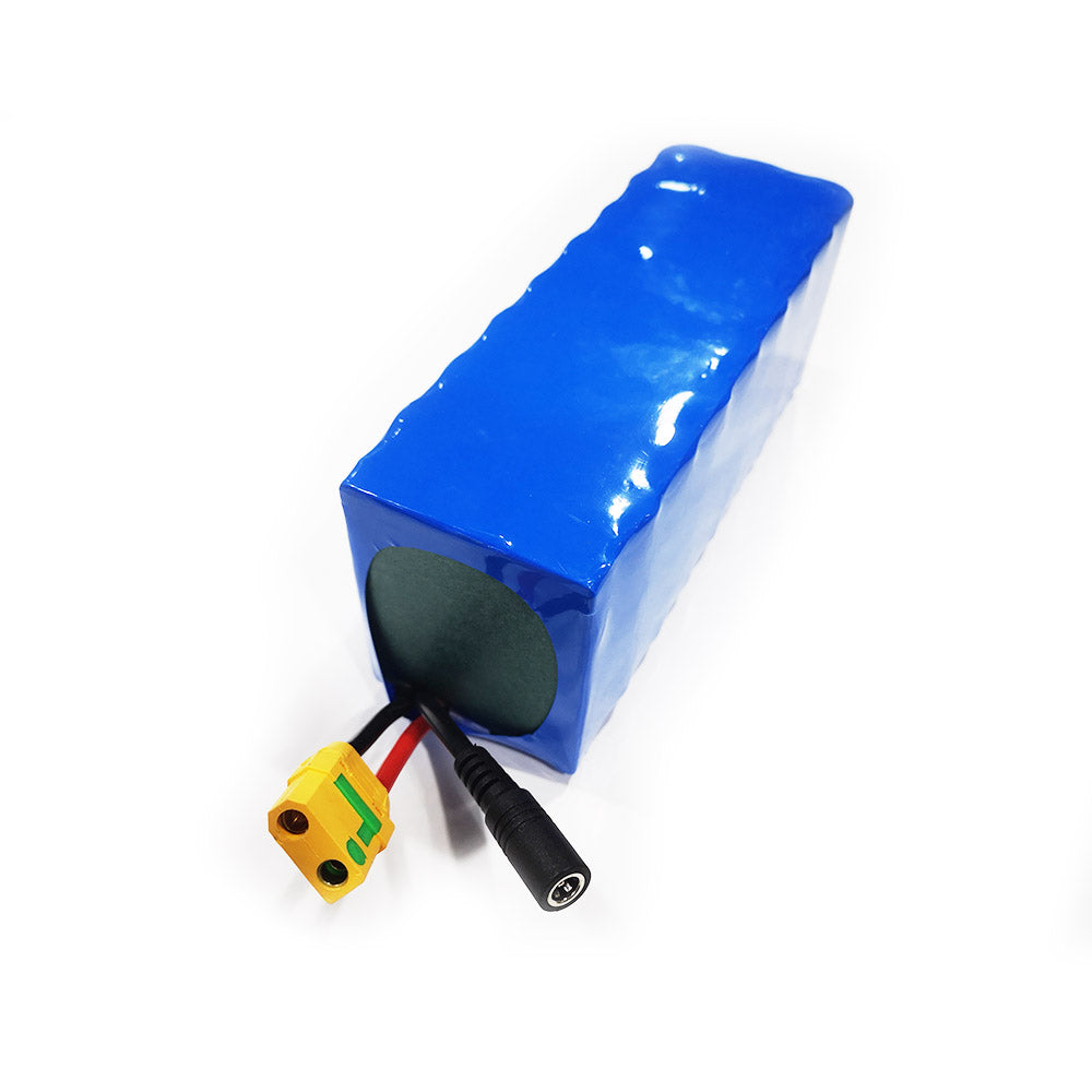 Molicel 21700 Cells 8S3P 33.6V Battery Pack with 5A Charger for Efoil Hydrofoil Boards Electric Foil Assist Skateboard