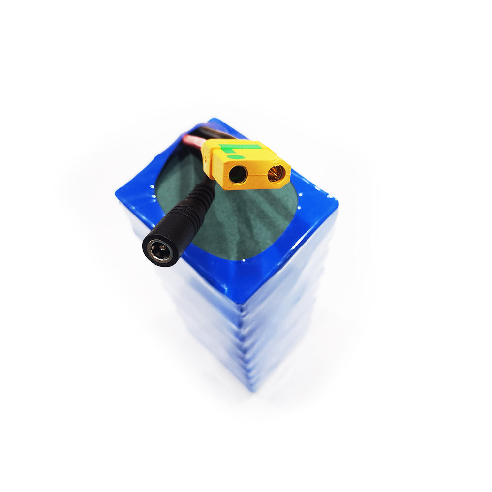 Molicel 21700 Cells 8S3P 33.6V Battery Pack with 5A Charger for Efoil Hydrofoil Boards Electric Foil Assist Skateboard